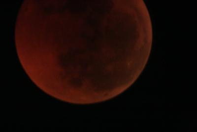 img_8298.jpg